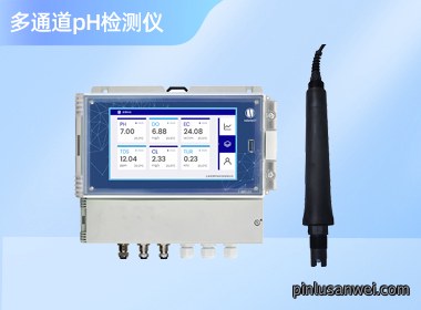 壁挂式多参数pH分析仪 NBDT-2800RTG