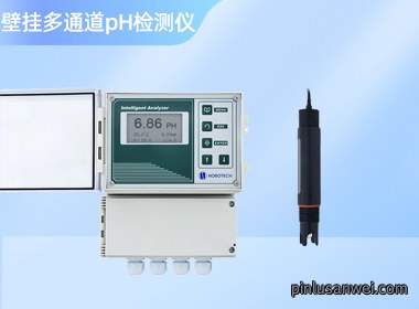 壁挂式多通道pH/ORP检测仪 DTP-9100
