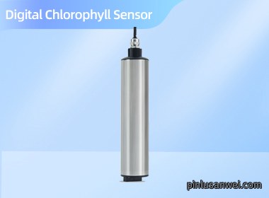 Digital Chlorophyll Sensor NS-CHL700