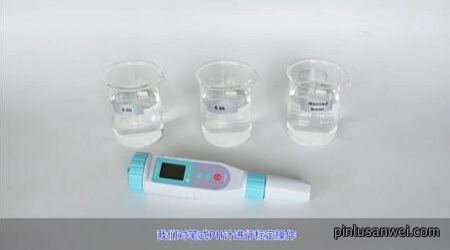 NPT-PH101 笔式pH 标定